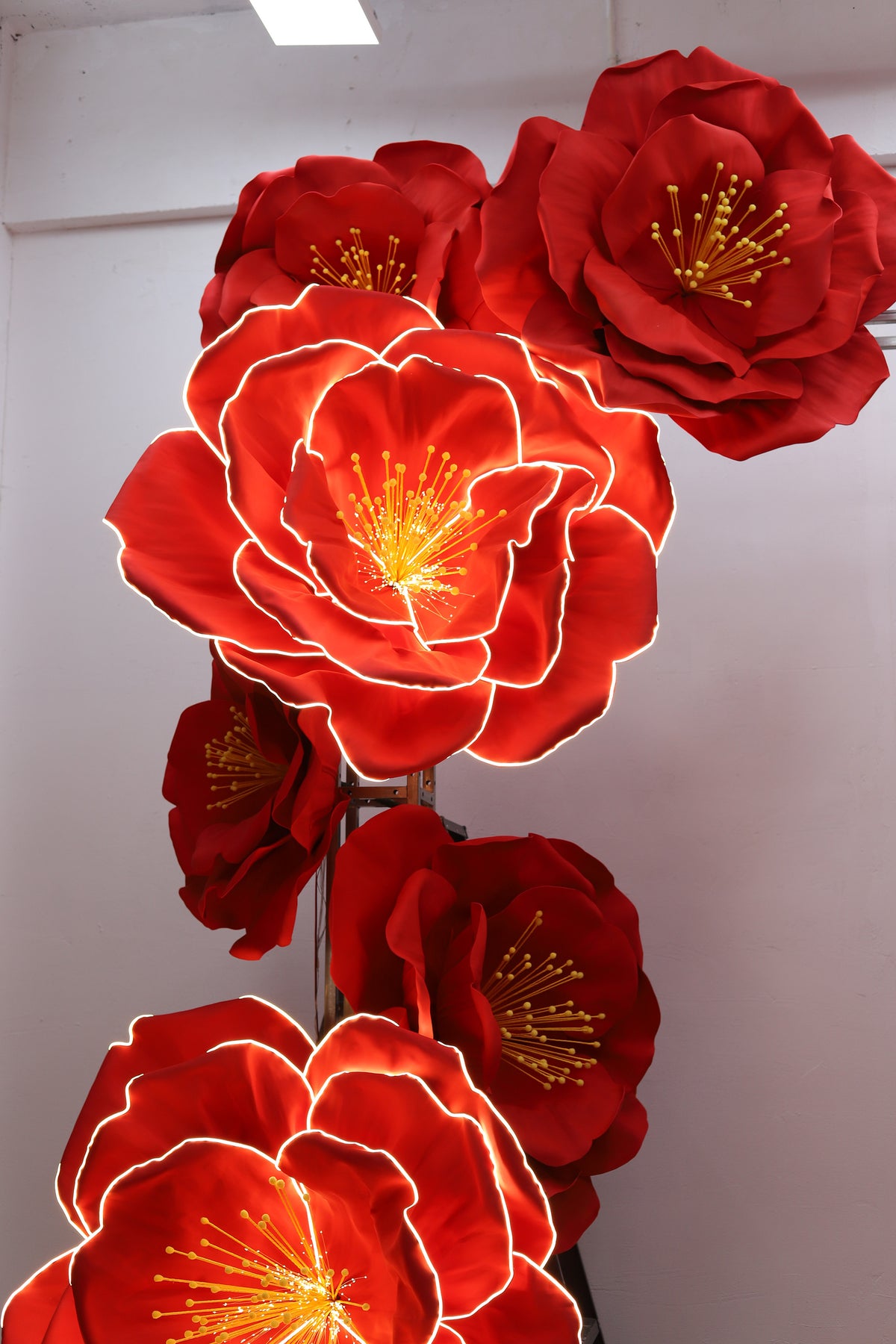 Wedding Backdrop Glowing Camellia