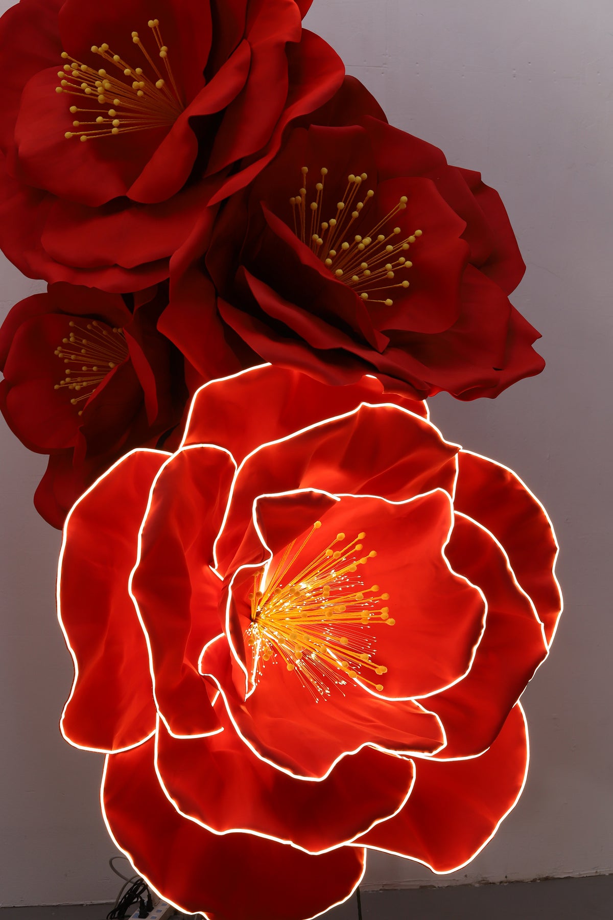 Wedding Backdrop Glowing Camellia